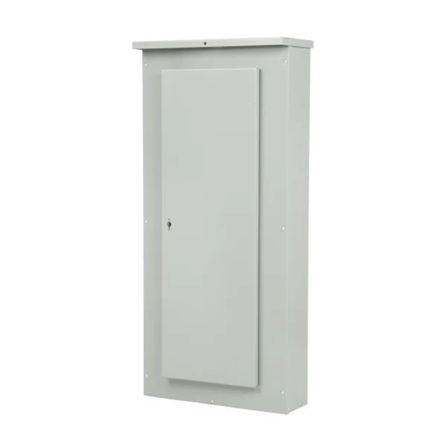 Imagen de GABINETE Y PUERTA P1 42 CIRCUITOS NEMA 3R 250 AMP. MX:WP44
