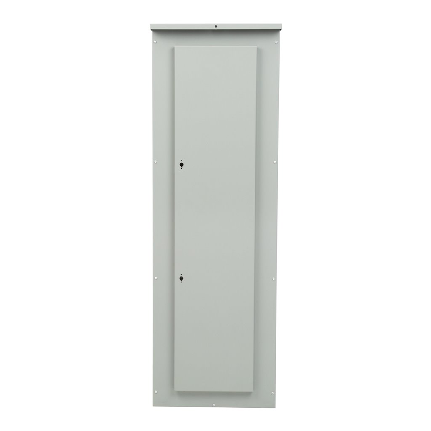 Imagen de GABINETE Y PUERTA P1 30 CIRCUITOS NEMA 3R 400 AMP. MX:WP62