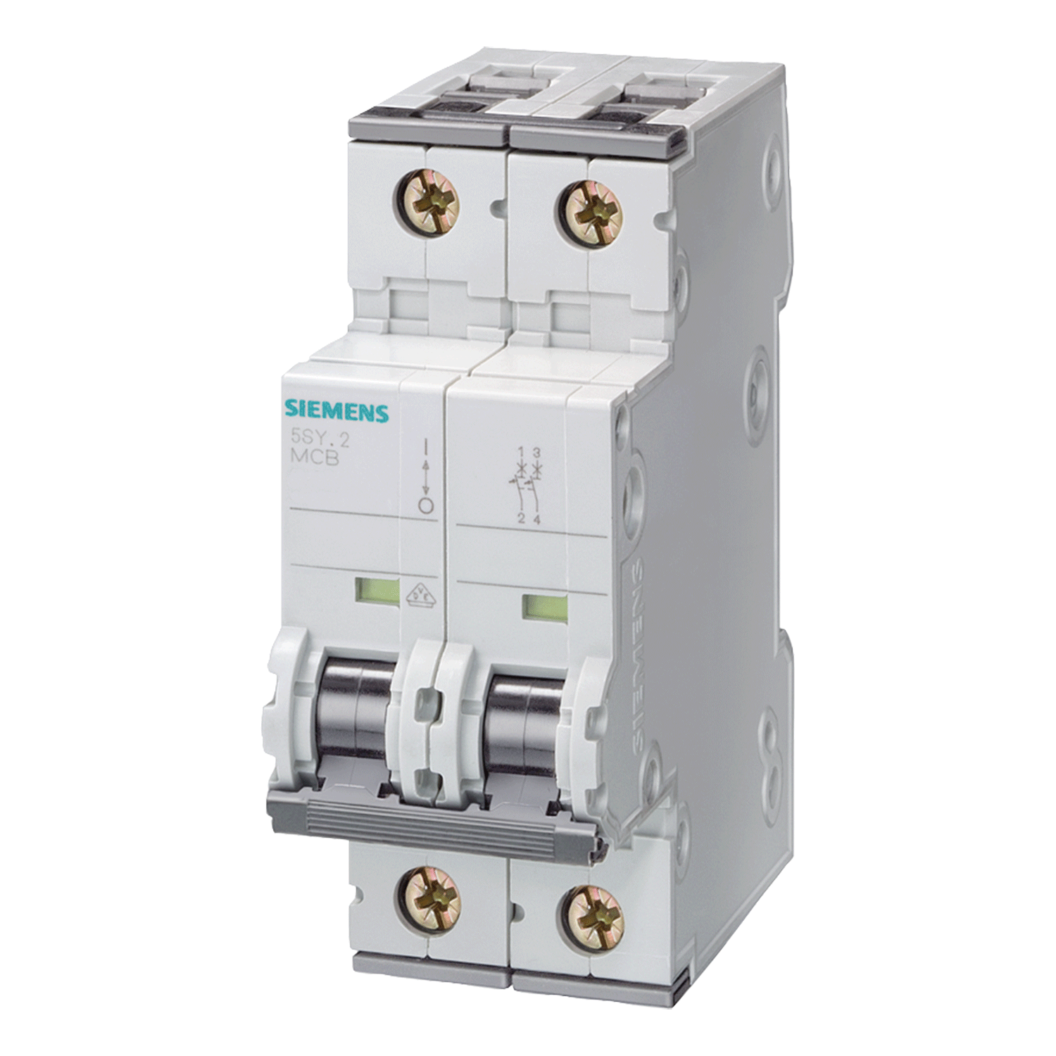 Imagen de PASTILLA INTERRUPTOR PARA RIEL DIN 5SY 2X10A 6KA 230/440V